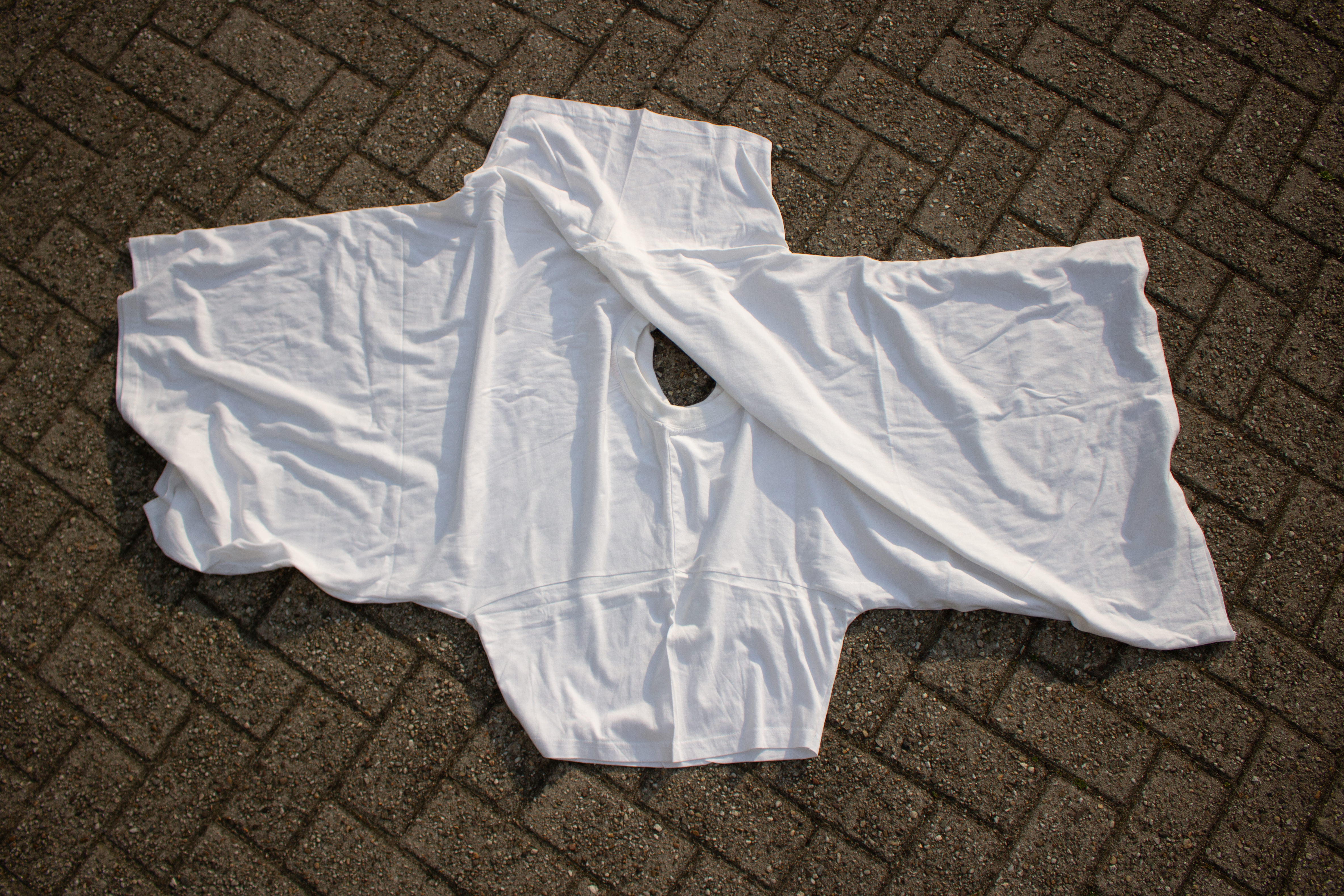 MODULAR SHIRTS
