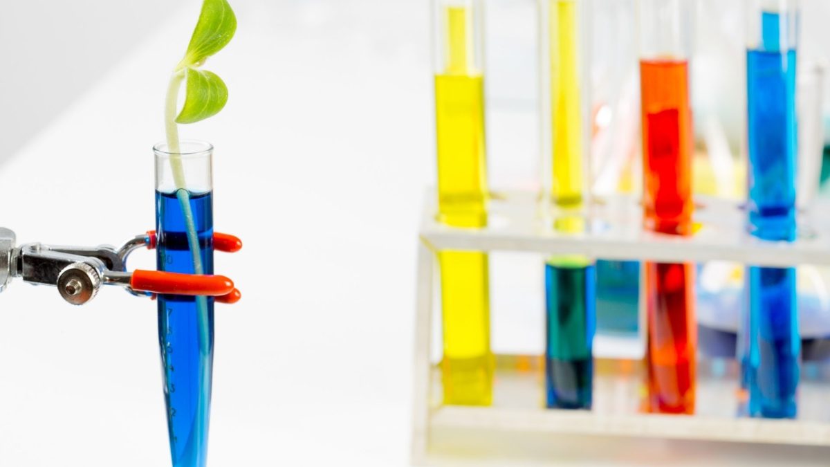 Year 12 Chemistry