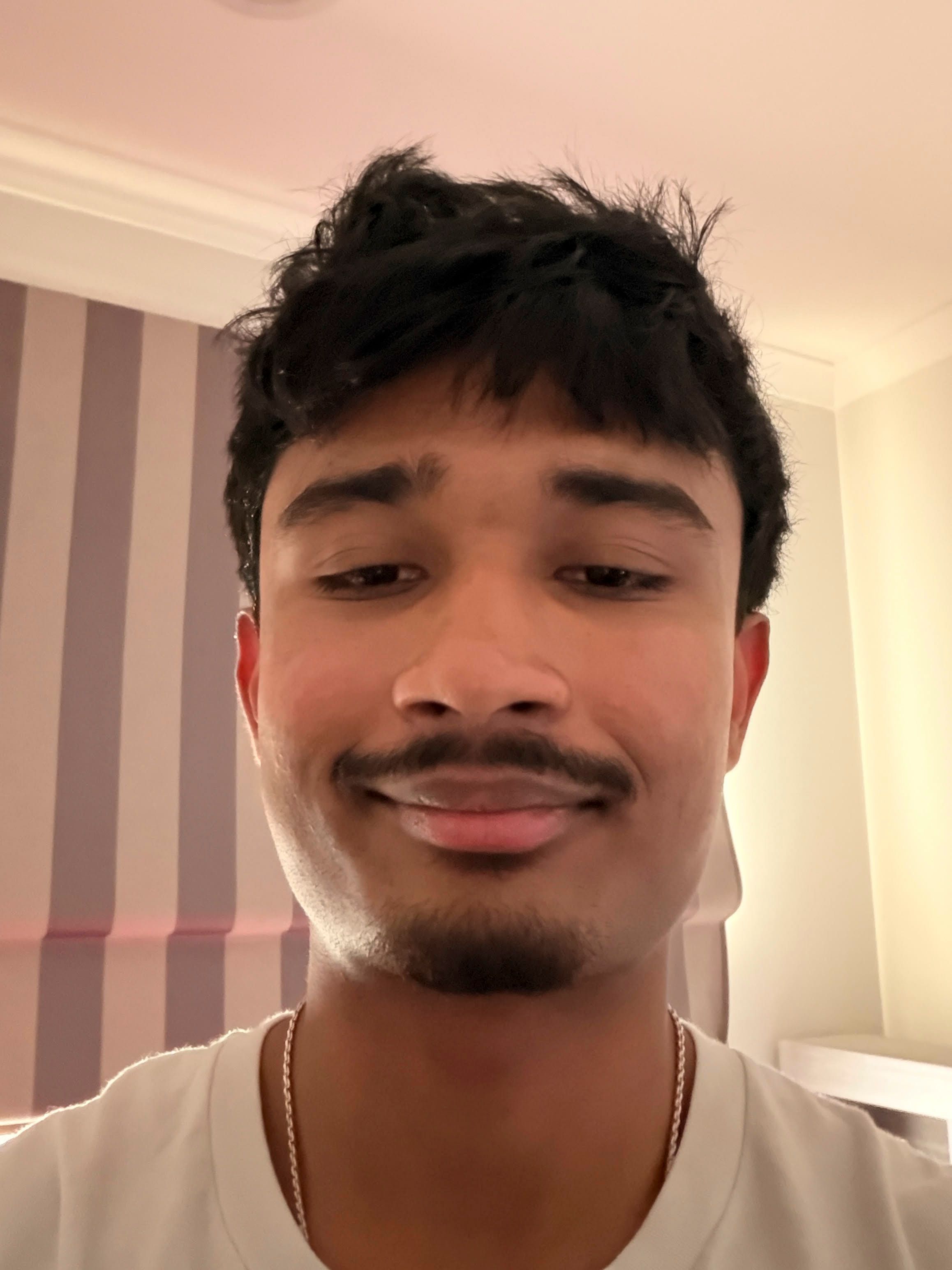Aryan Punekar