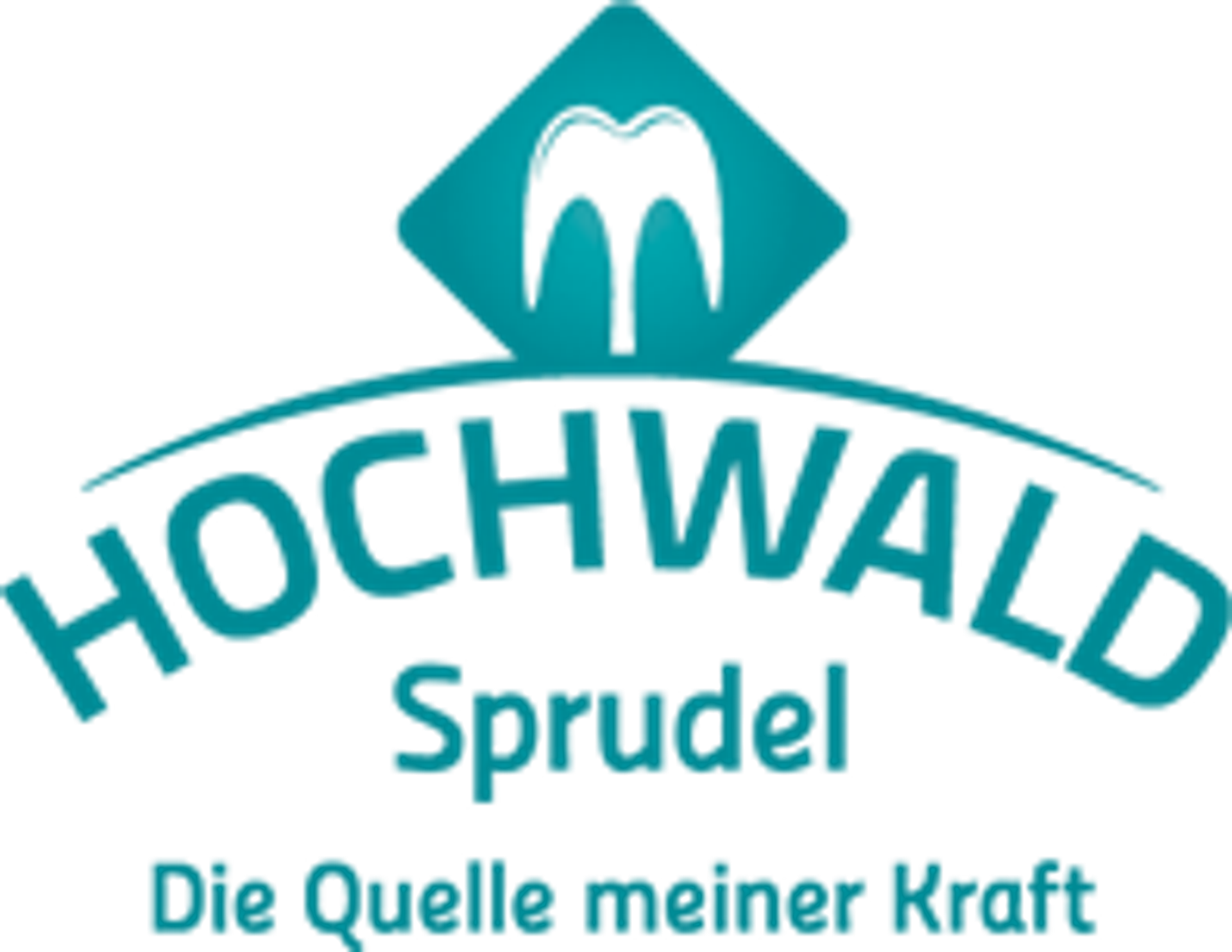 Hochwald EN logo
