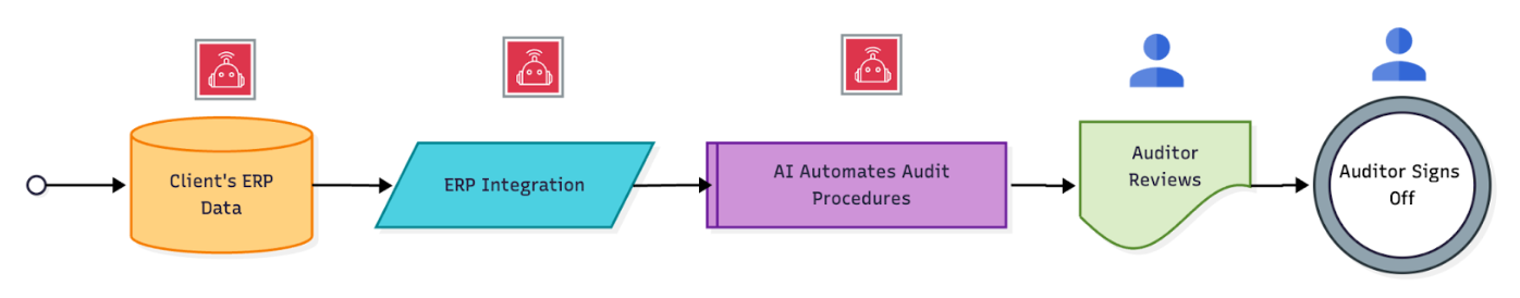 Continuous Audit Workflow.png