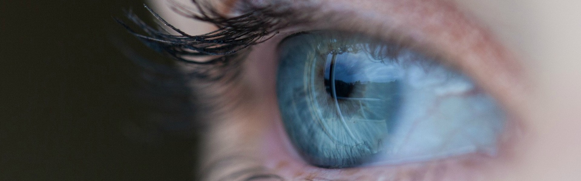 Cover Image for A Fresh Set of Eyes: Getting the Most Out of Your Mediator