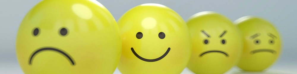 Cover Image for Anger, Tears, and Fear: Managing a Clients' Emotions During Mediation