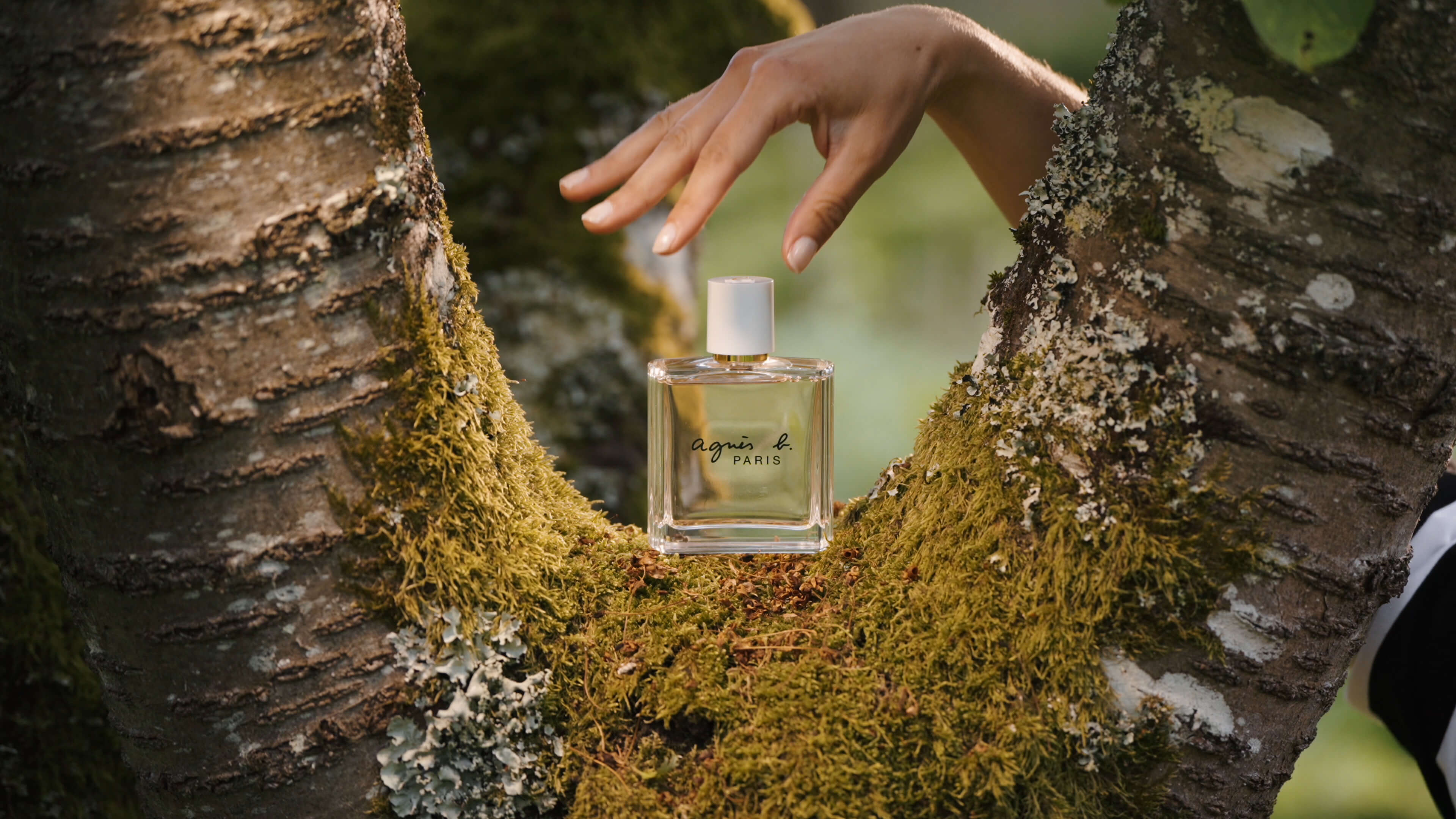 agnès b. — Le parfum - Art Direction