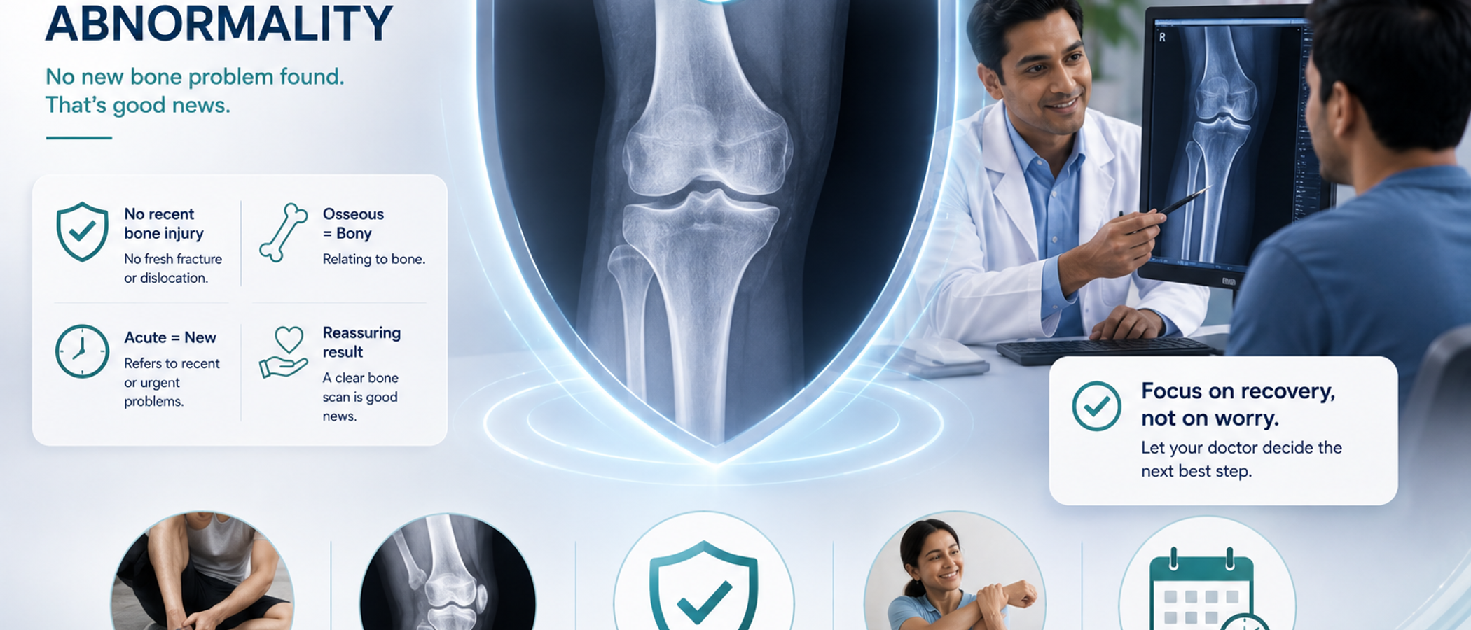 An X-ray showing an intact knee and lower leg, with plain-English explanations of what "no acute osseous abnormality" means