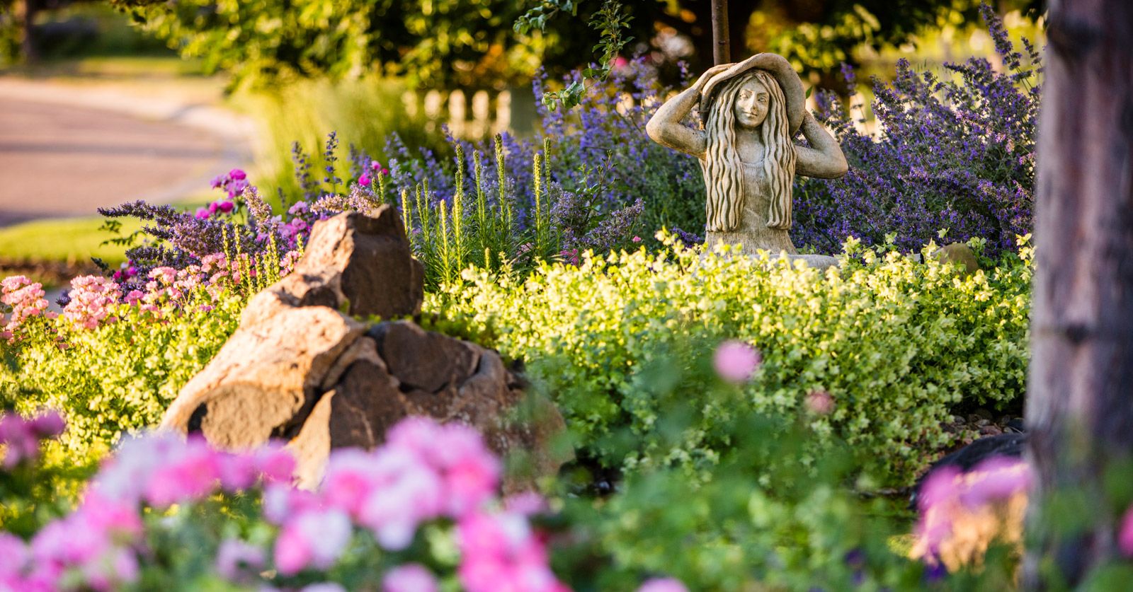 Southern Exposure Landscape