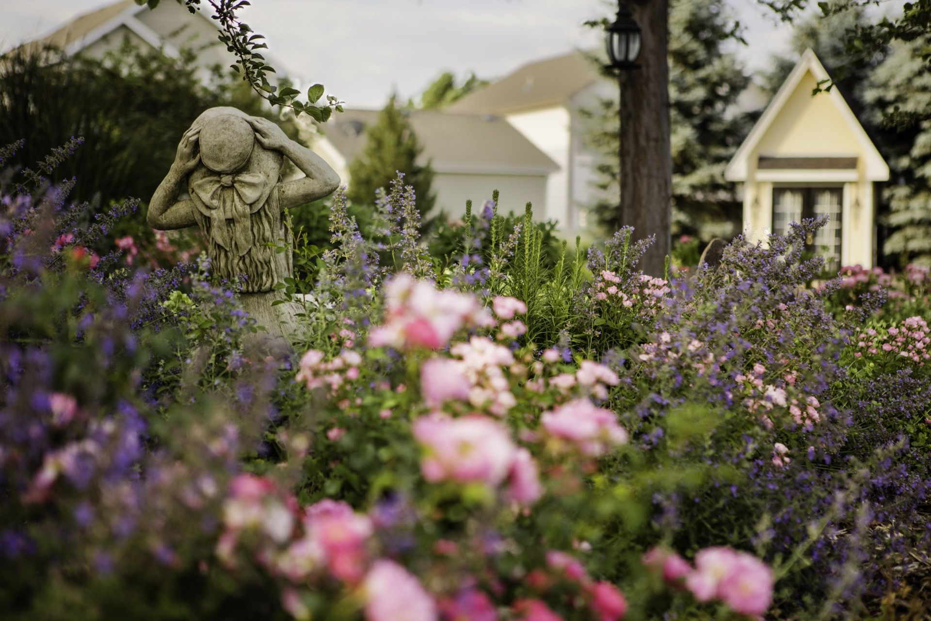 Southern Exposure Landscape