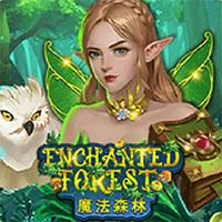 enchanted-forest-logo