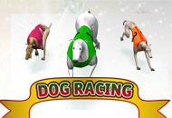 dog-racing