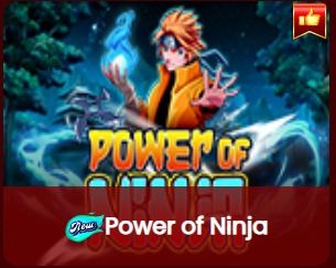 Power-of-Ninja-logo
