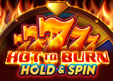hot-to-burn-hold-and-spin-logo