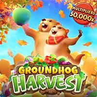 groundhog-harvest-logo