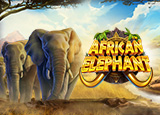 african-elephant-logo