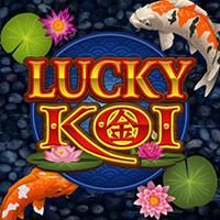 lucky-koi