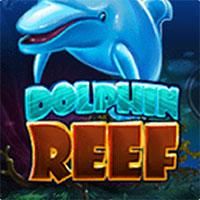 dolphin-reef-logo