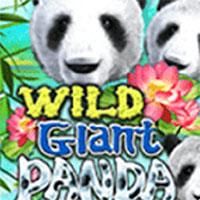 wild-giant-logo
