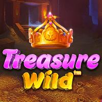 treasure-wild-logo
