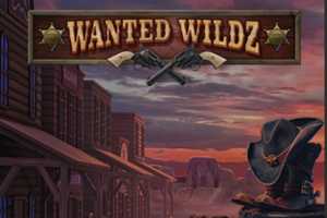 wanted-wildz