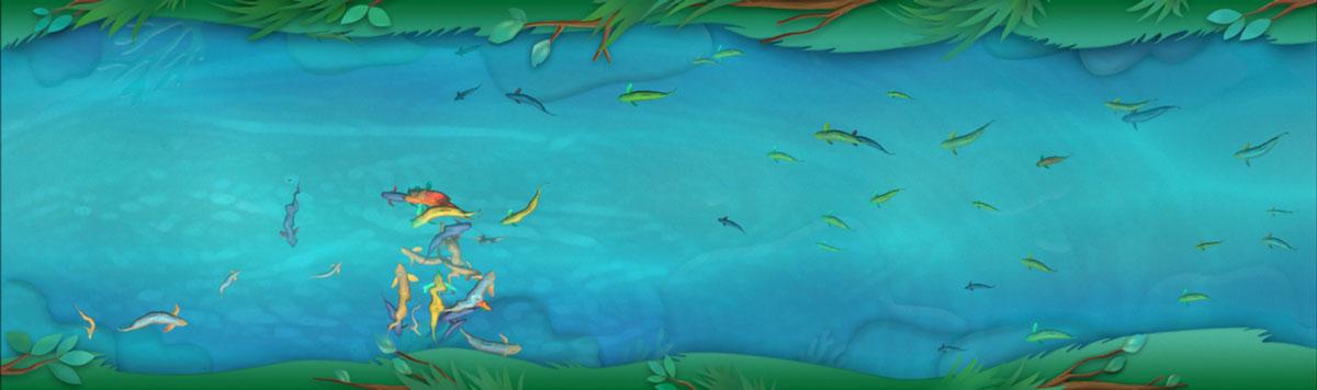 Benefis Interactive Wall