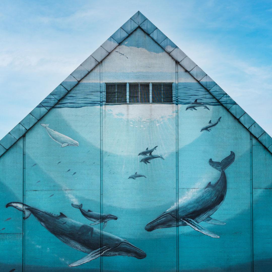 AR Experiences at Toronto Waterfront Festival