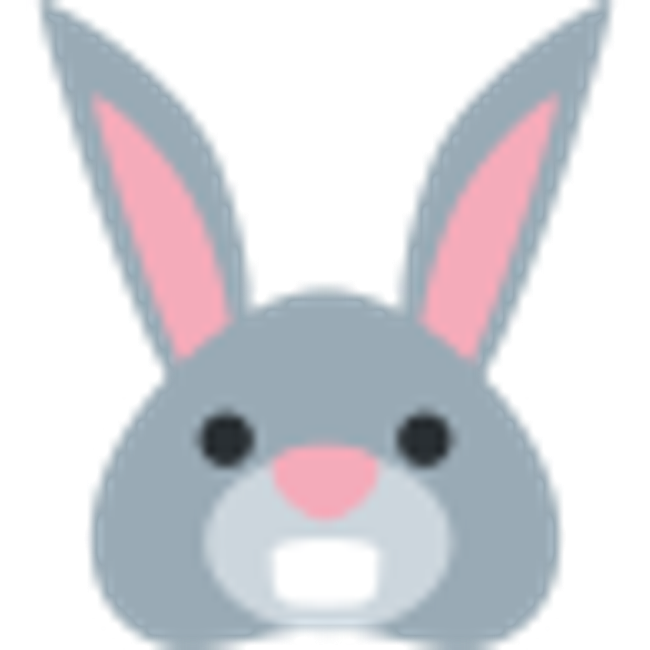 :rabbit: