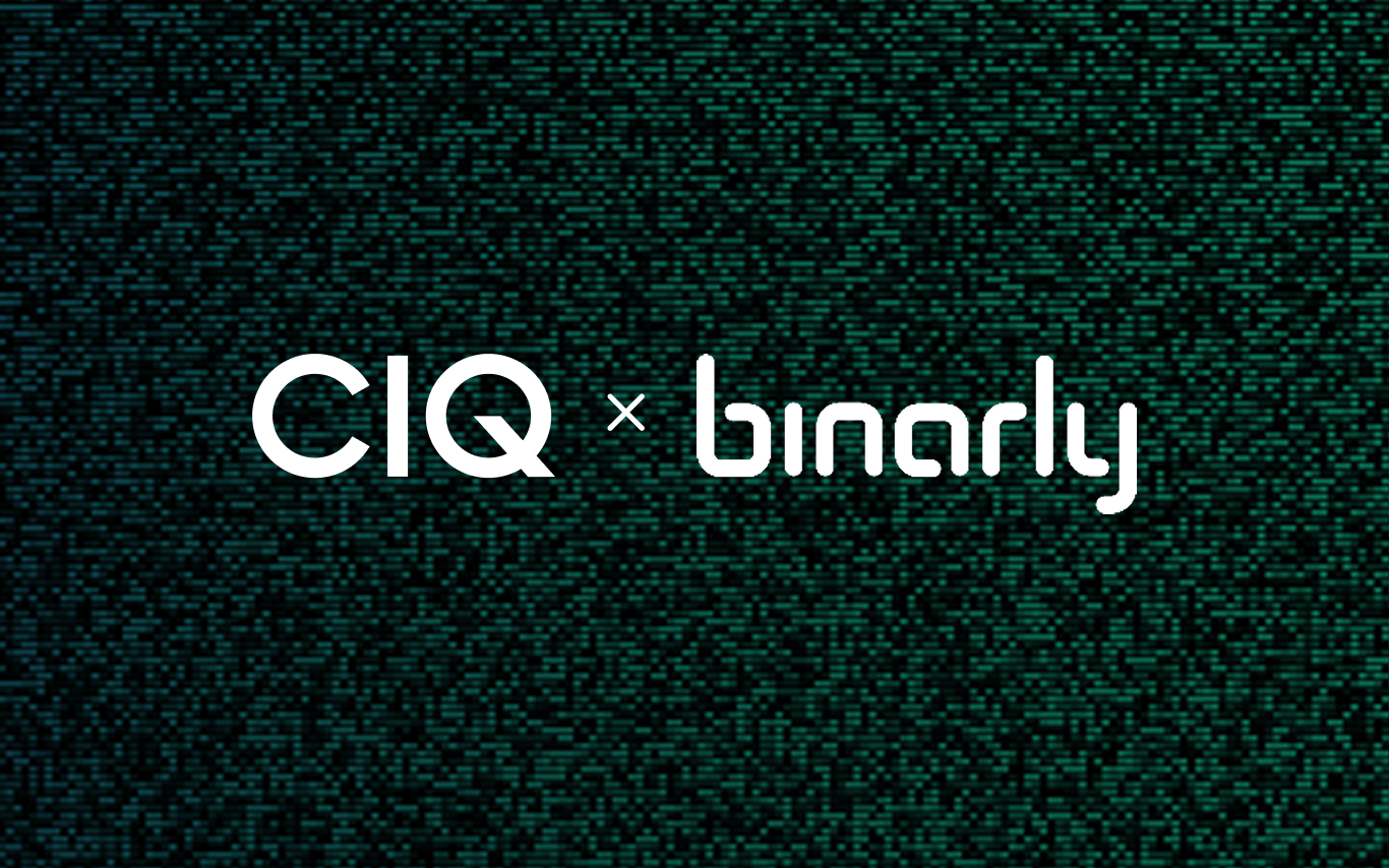 Why OS hardening is no longer enough: the case for infrastructure-level supply chain security