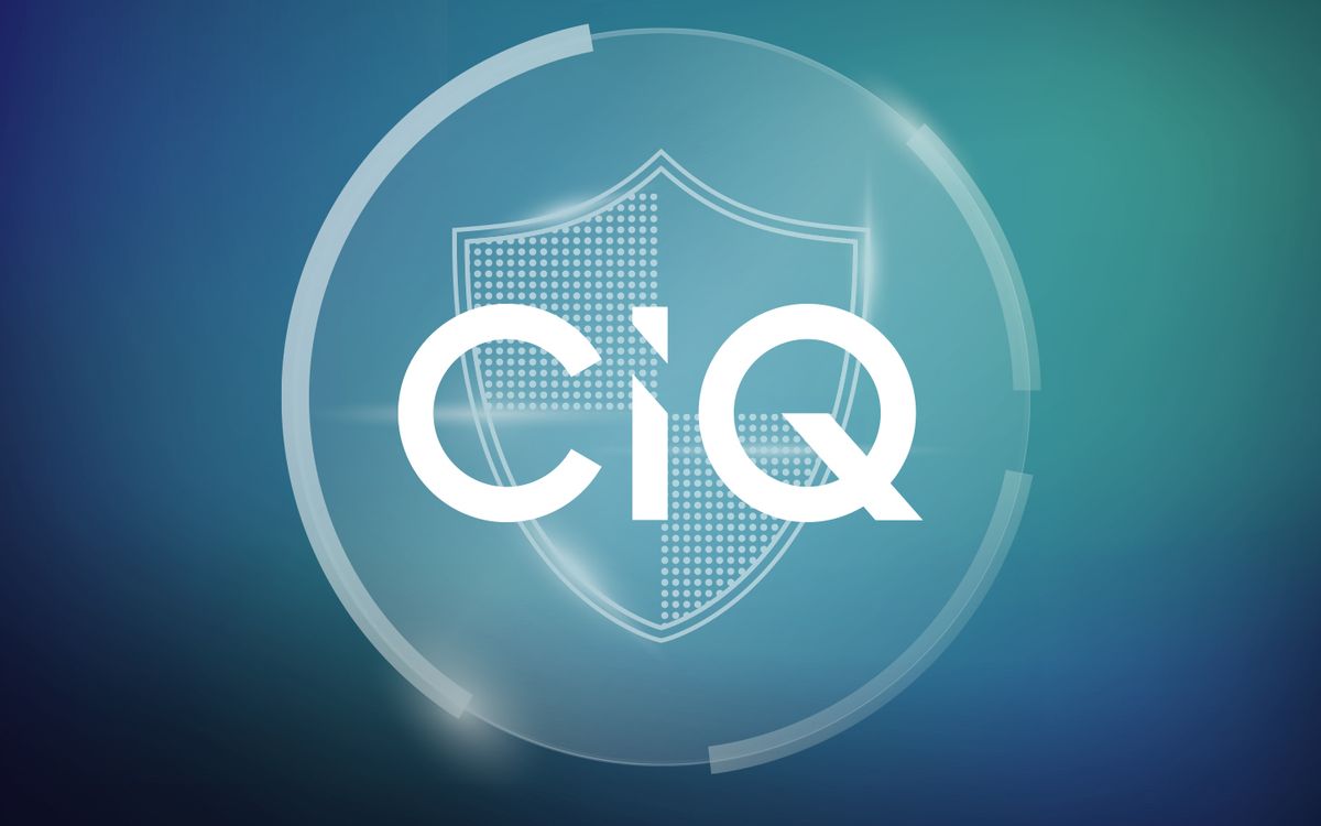 Complexity Is the Enemy of Security