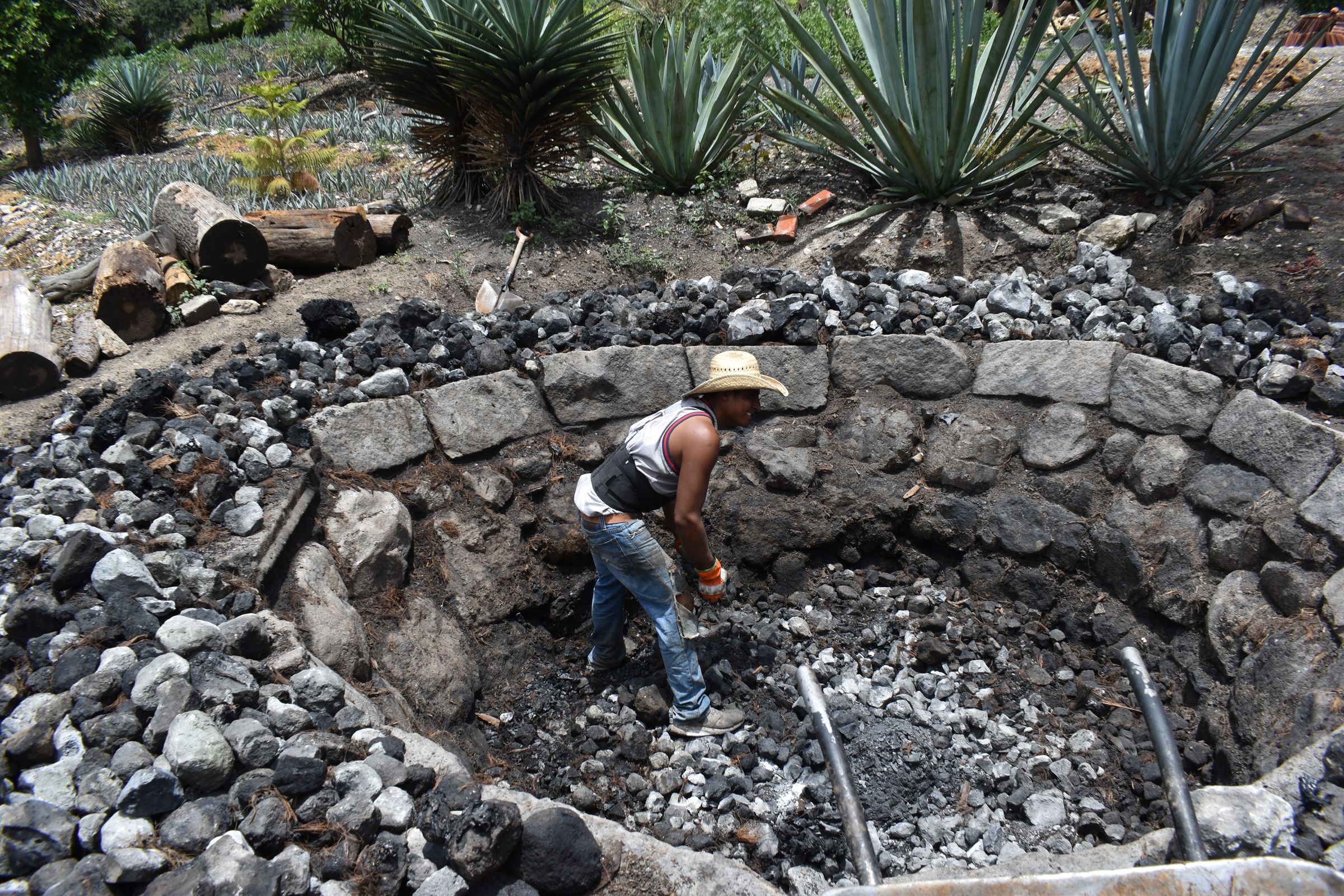 An Introduction to Mezcal | Vera Mexicana