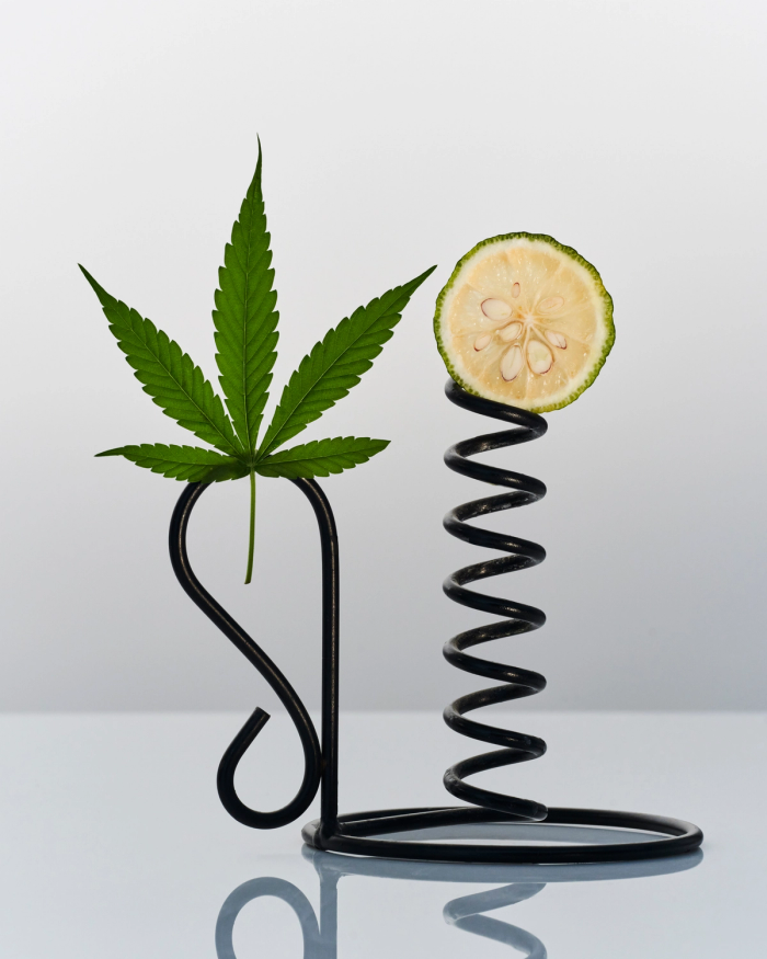 Calme Ingredients
