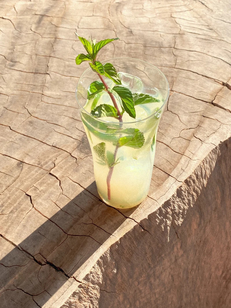 Aplós Mojito