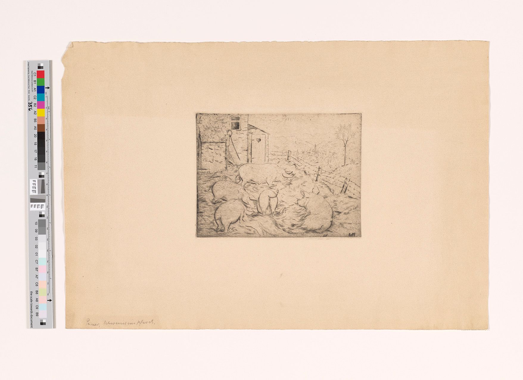 Fünf Schweine suhlen sich und fressen in einem mit Stacheldraht umzäunten Pferch. Vor einem Haus links im Hintergrund mit Plumpsklo.