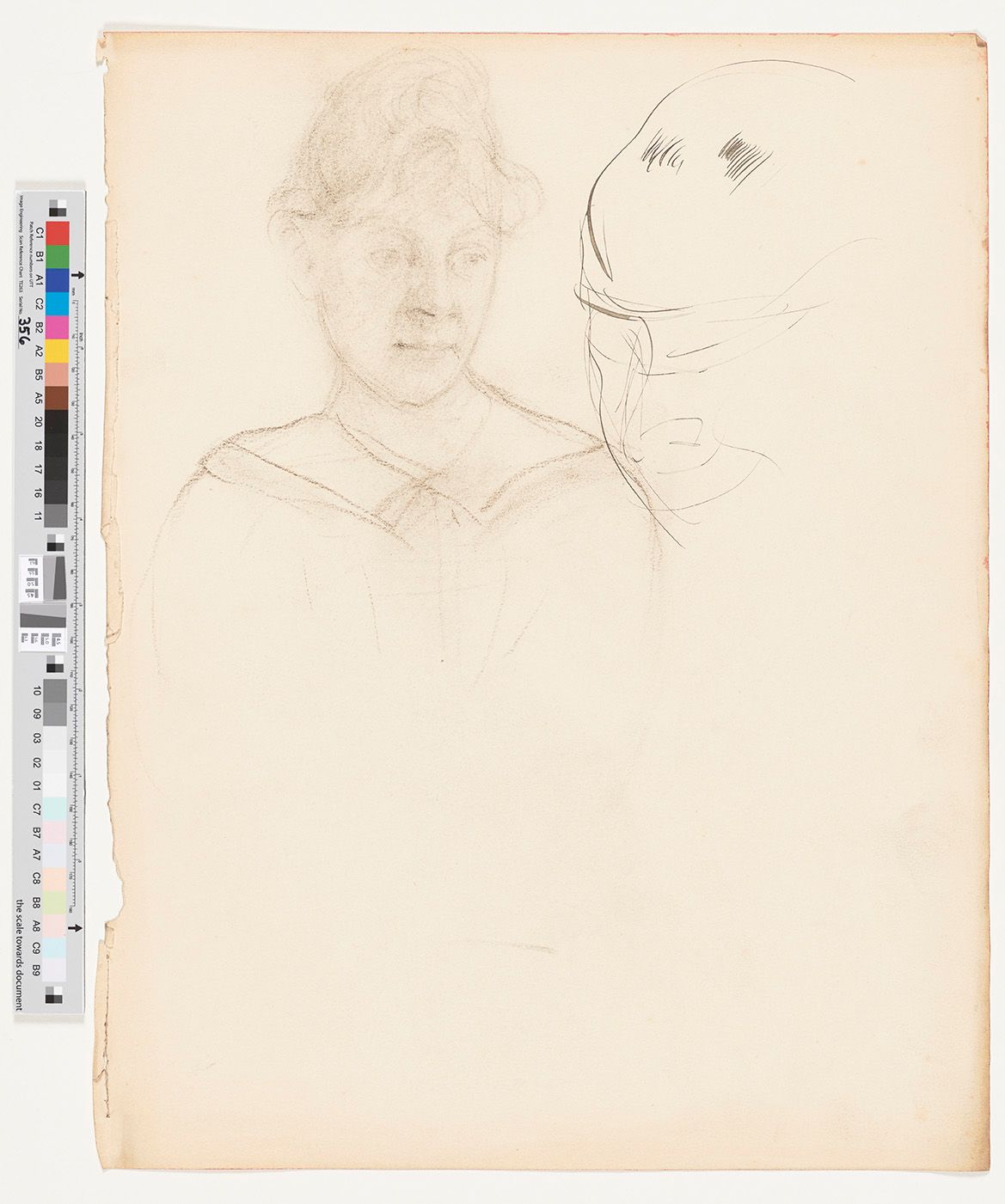 Portrait Zeichnung einer jungen Frau. Die Frau hat ihren Kopf und ihren Blick nach rechts unten gerichtet. 