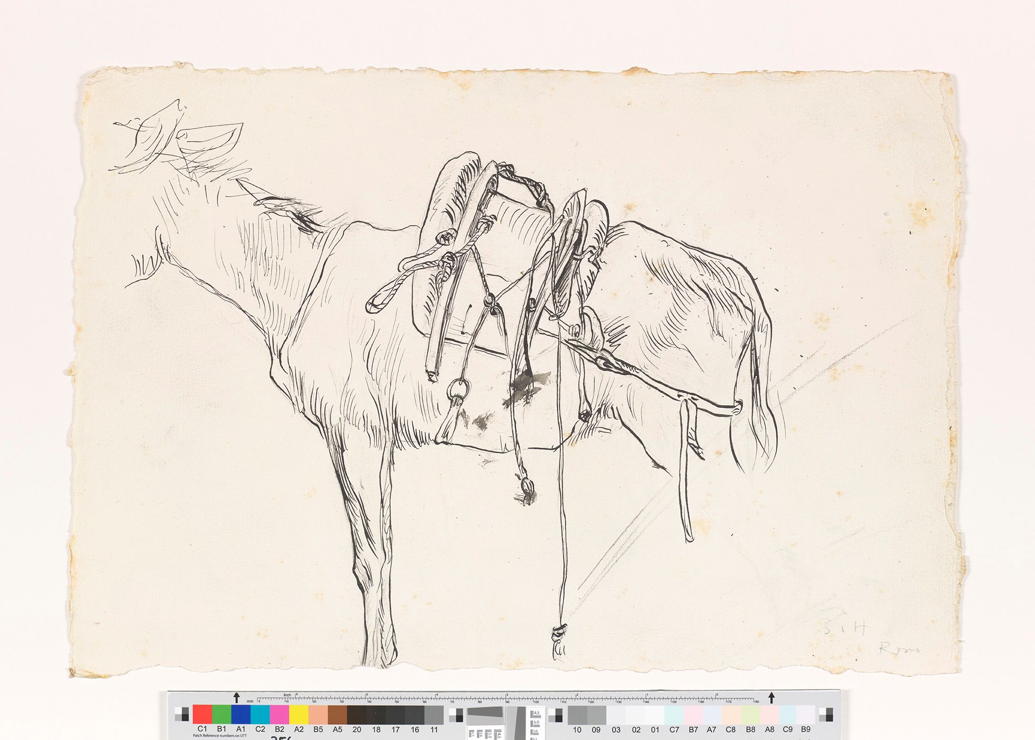 Zeichnung eines Esels. Der Esel trägt einen Sattel und ein Sack auf seinem Rücken. Außerdem ist dieser nur vom Hals abwärts dargestellt.