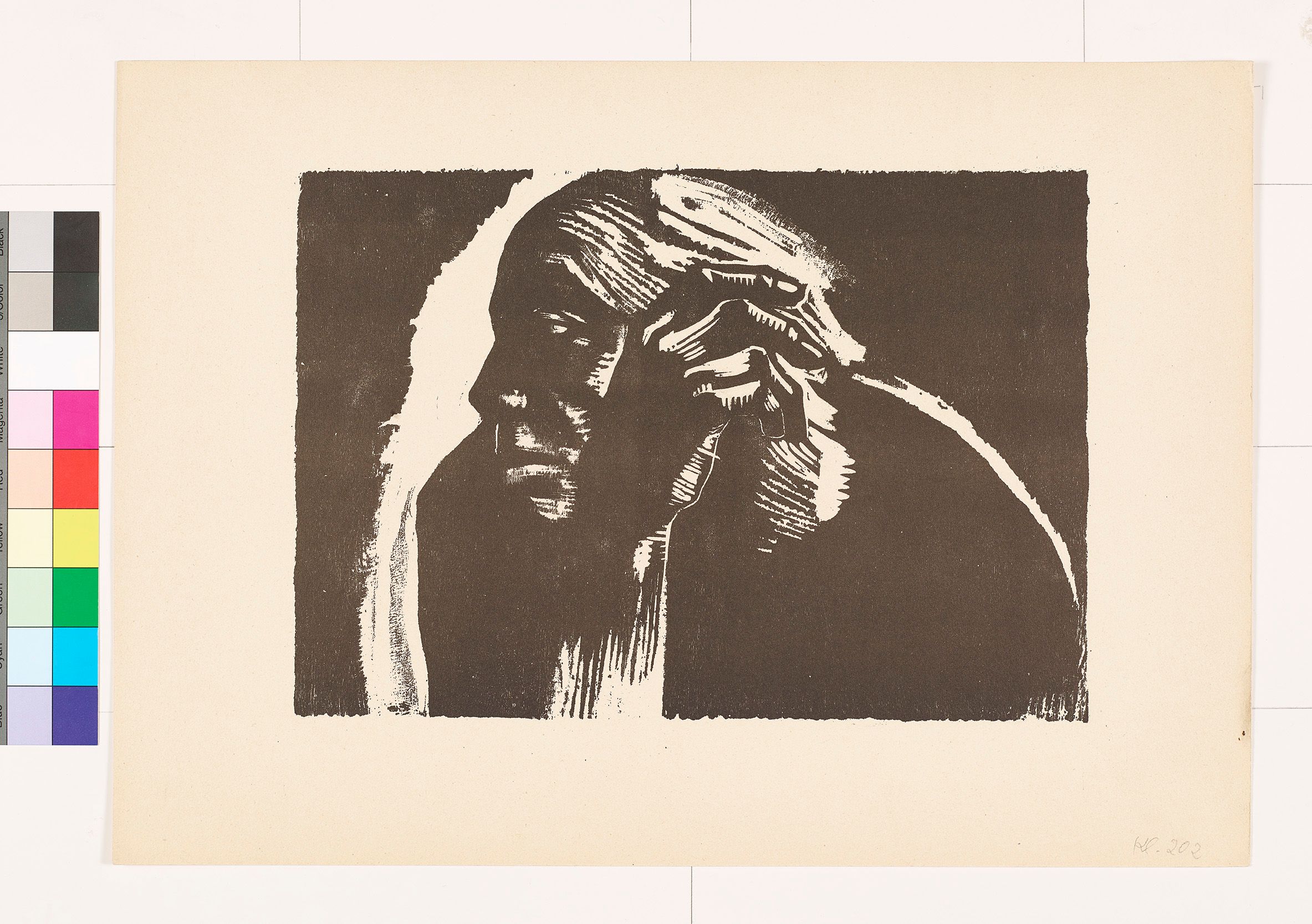 Ein Selbstbildnis von Käthe Kollwitz mit starken Kontrasten von schwarzen und weißen Flächen. Zu dem im Profil nach links gewendeten Gesicht ist ihr ins Bild gehobener rechter Arm mit gekrümmten Fingern eine starke Gegenposition.