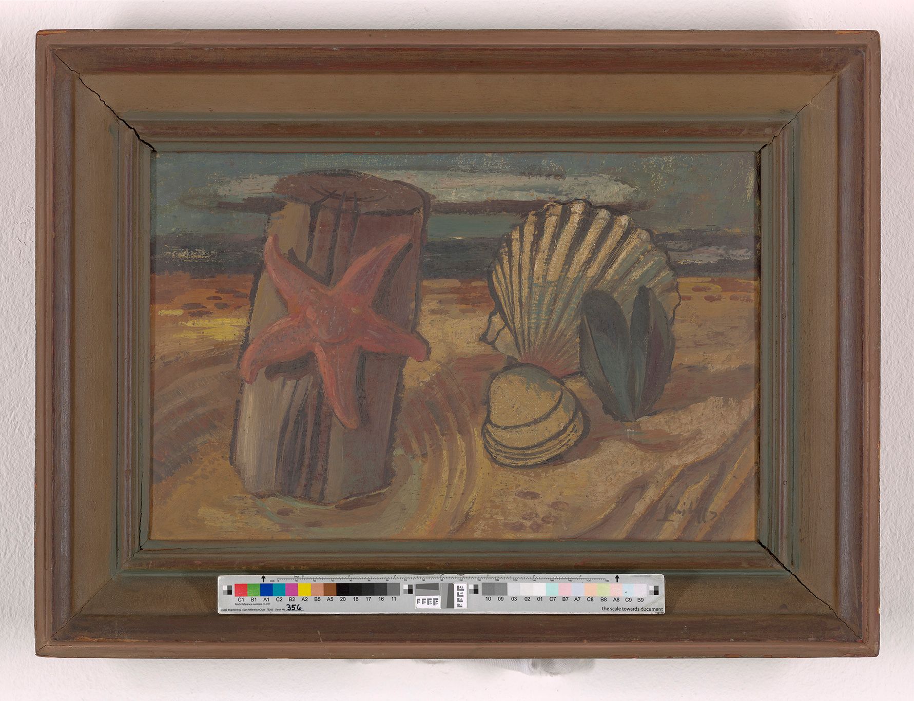 Ein roter Seestern hängt an einem kurzen Holzpfahl an einem Strand, daneben eine Jakobsmuschel, eine halb geöffnete Miesmuschel und eine dritte.