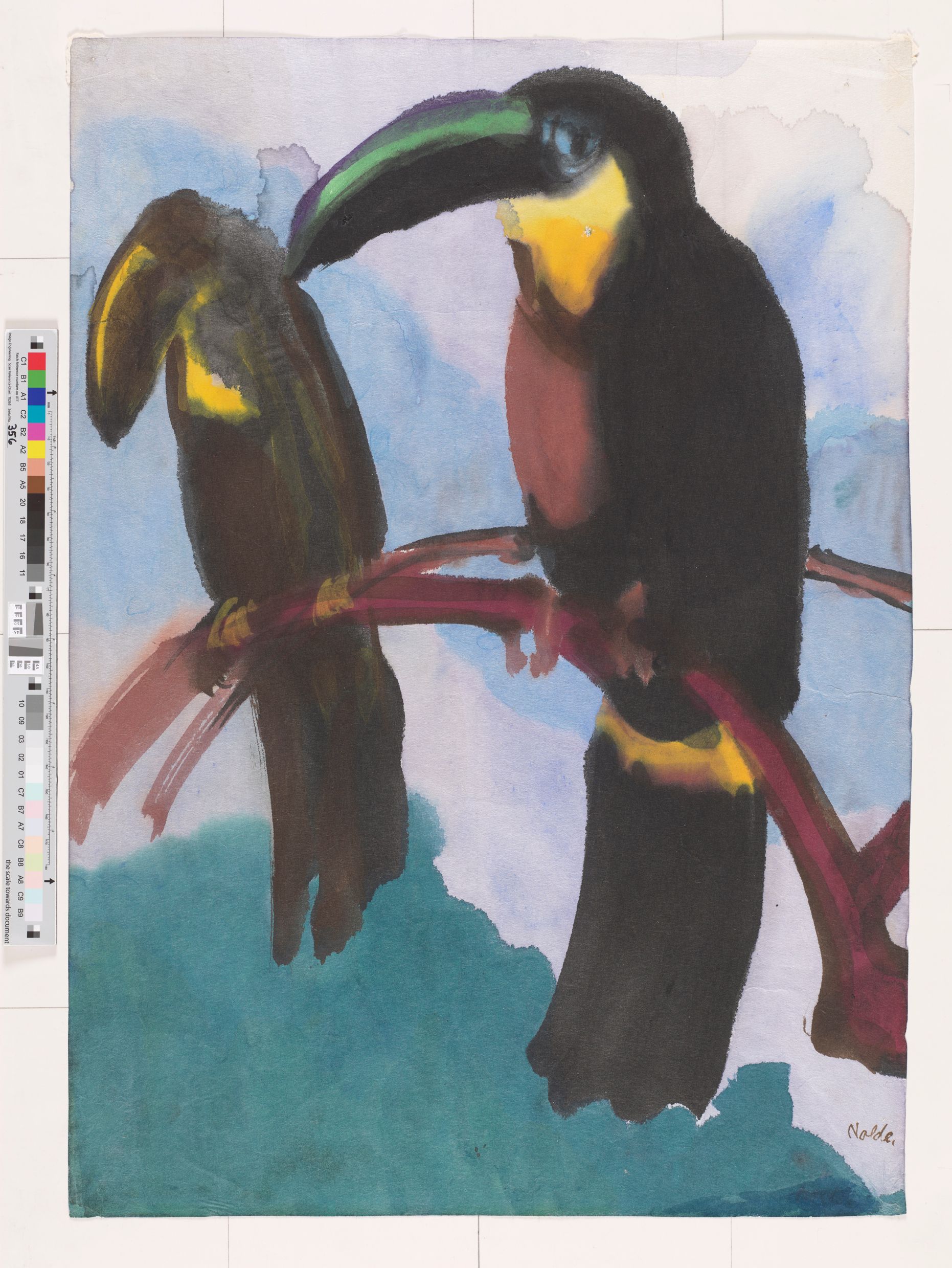 Zwei Pfefferfresser (Vogelart aus der Familie der Tukane) sitzen auf einem Ast.