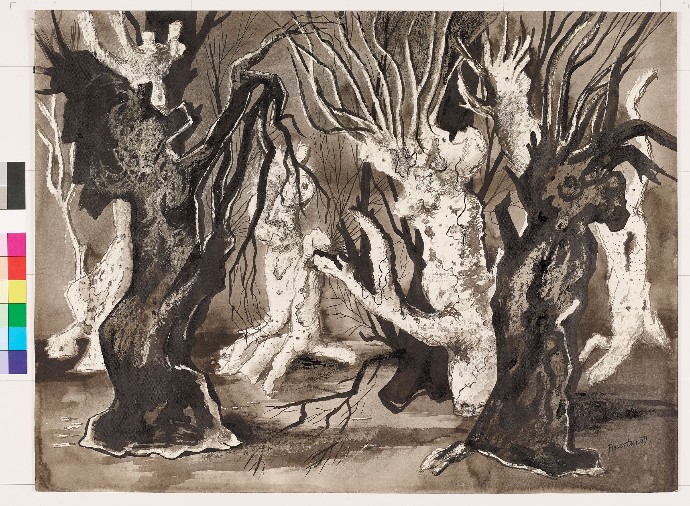 Eine Gruppe von knorrigen, blattlosen, schwarzen und weißen Bäumen. 