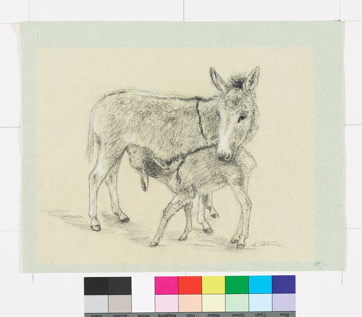 Zeichnung. Zwergesel mit Fohlen.