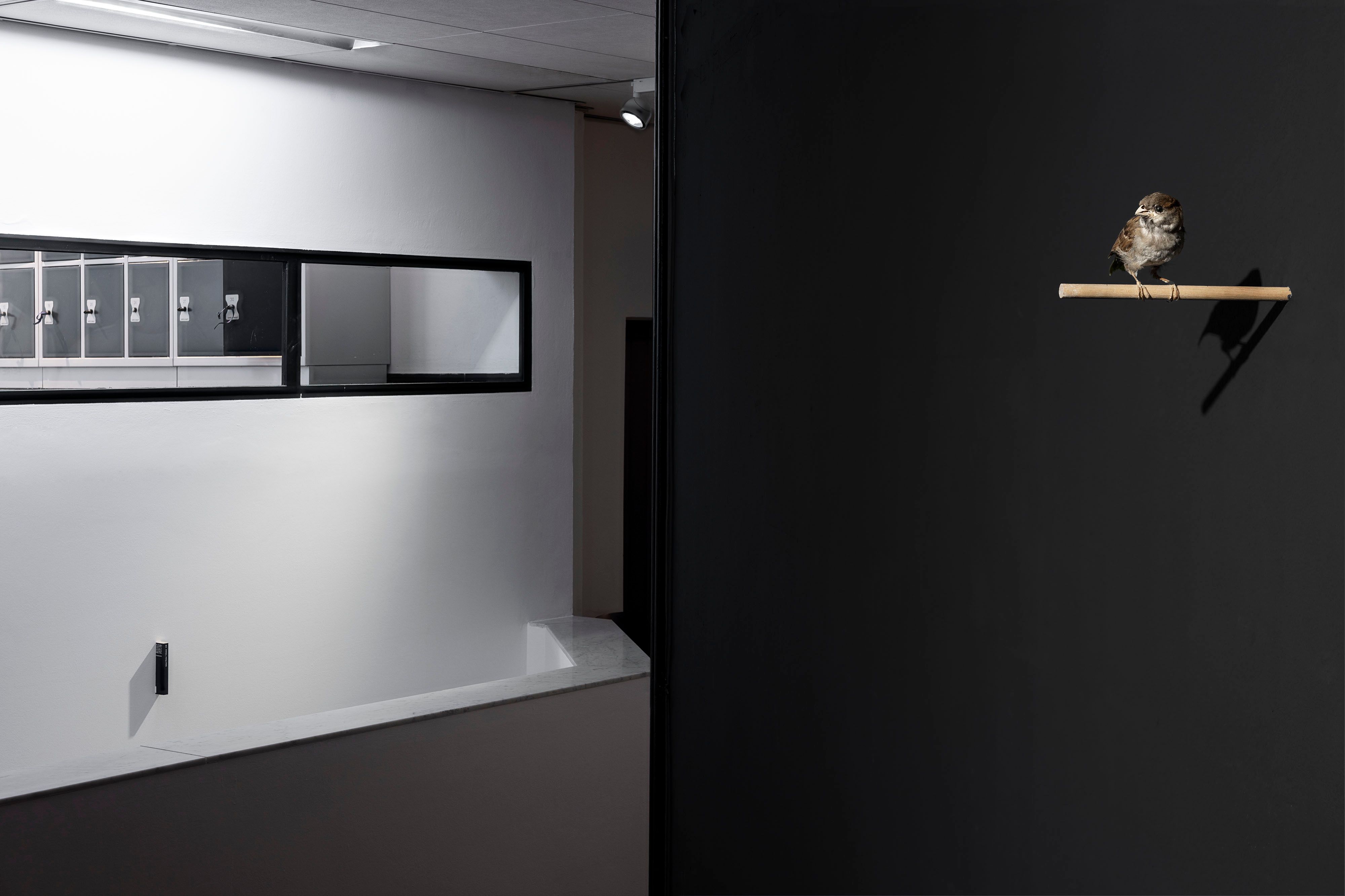 Hyle², FAMED, Ausstellungsansicht Kunstmuseum Gelsenkirchen, 2025, Foto: Philipp Ottendörfer