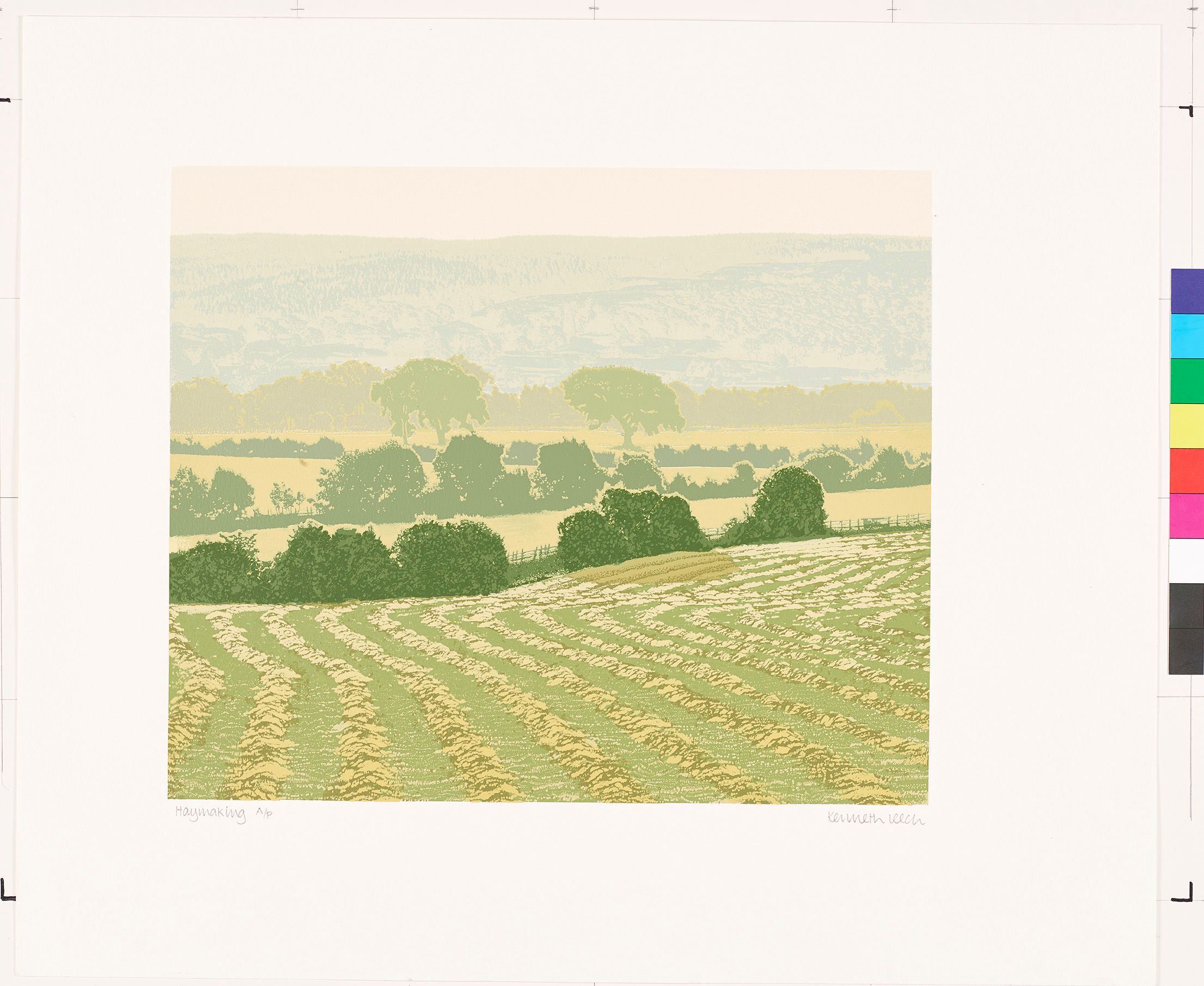 Eine gestaffelte Landschaft in entsättigten Farben und einem Feld im Vordergrund.