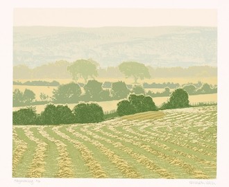Eine gestaffelte Landschaft in entsättigten Farben und einem Feld im Vordergrund.