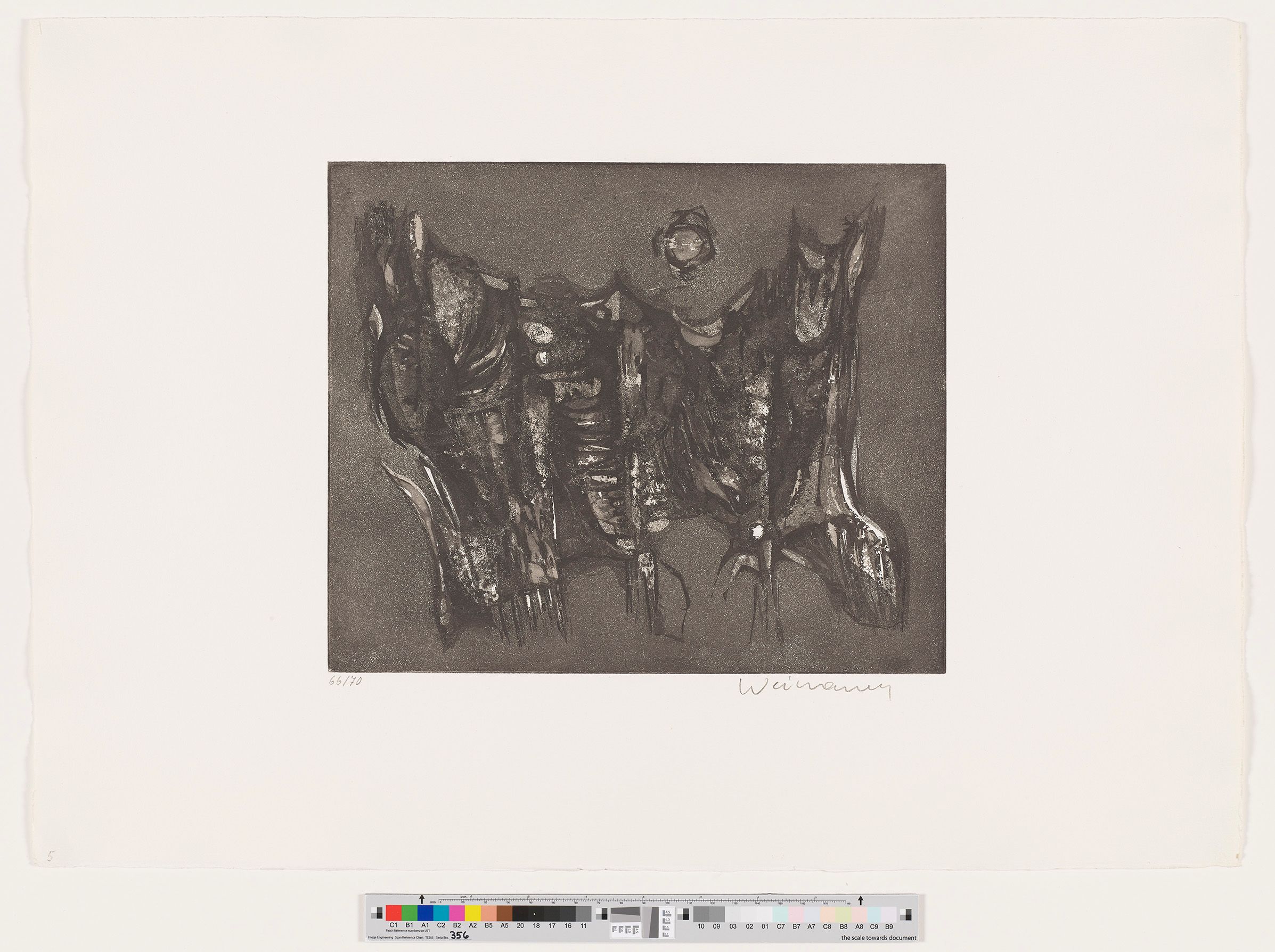 IIIc 66/1,05