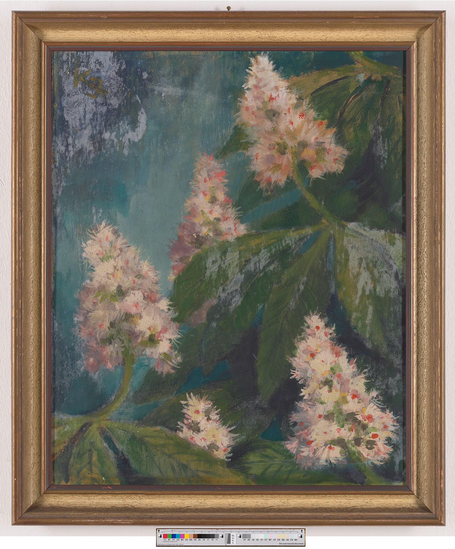 Dargestellt sind die dunkelgrünen Blätter und rosa-roten Blütenstauden eines Kastanienbaums vor blauem Grund.