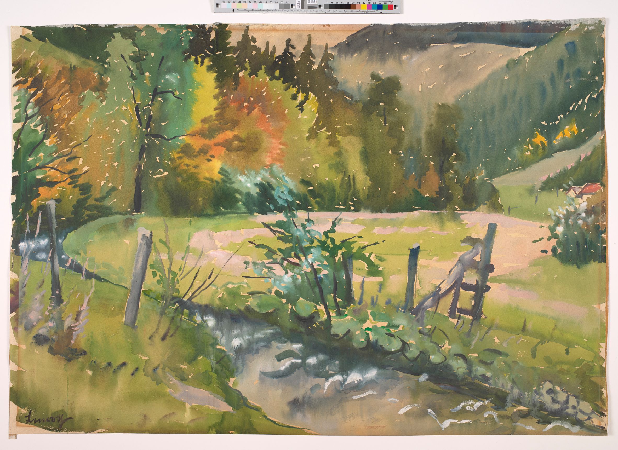 Gebirgslandschaft mit einem Fluss, dass in den Wald mit Bäumen führt. Im Hintergrund sind Berge und Hügel.