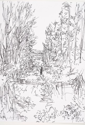 Schnelle Skizze eine Furt in einem Wald.