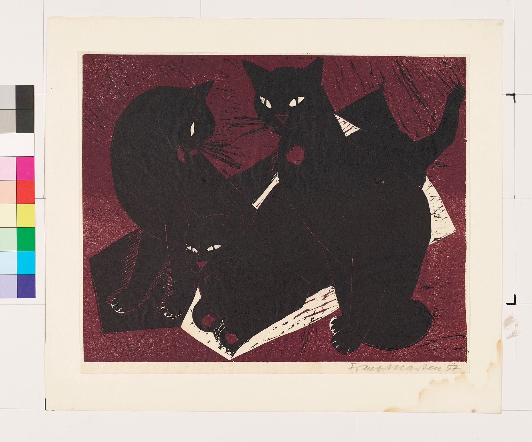 Drei Katzen vor einem violetten Hintergrund: die mittlere liegt, die beiden anderen stehen. Das weiß der Augen tritt klar hervor.