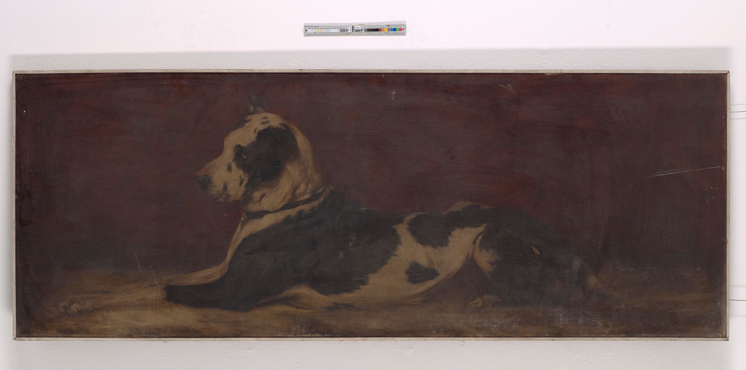 Gemälde. Großer schwarz, weiß gefleckter Hund, womöglich Dogge. Seitlich abgebildet. Farben sehr dunkel gehalten (dunkelrot, dunkelbraun, grau und schwarz). 