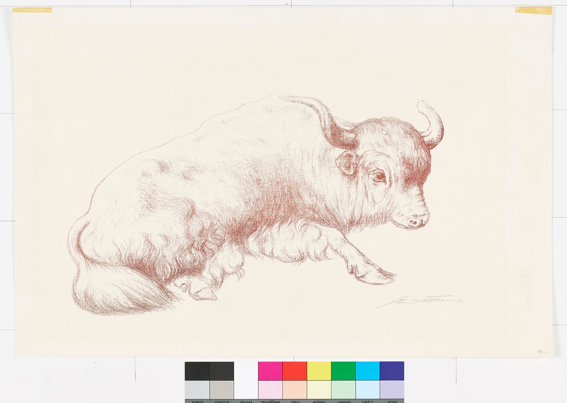 Zeichnung eines sitzenden Yaks