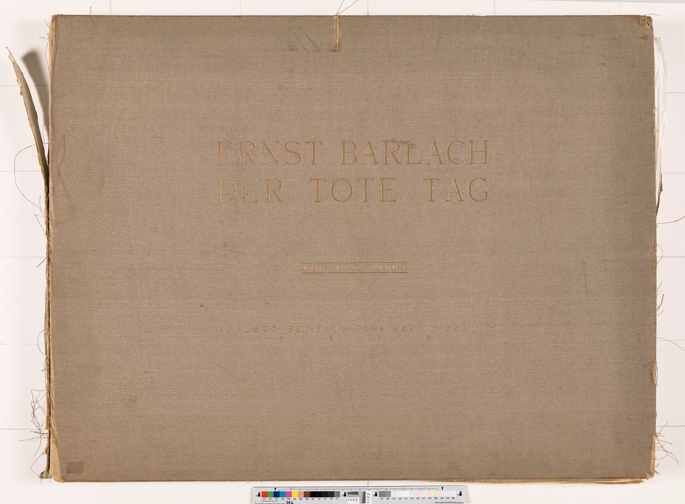 Buchcover. Schriftzug.