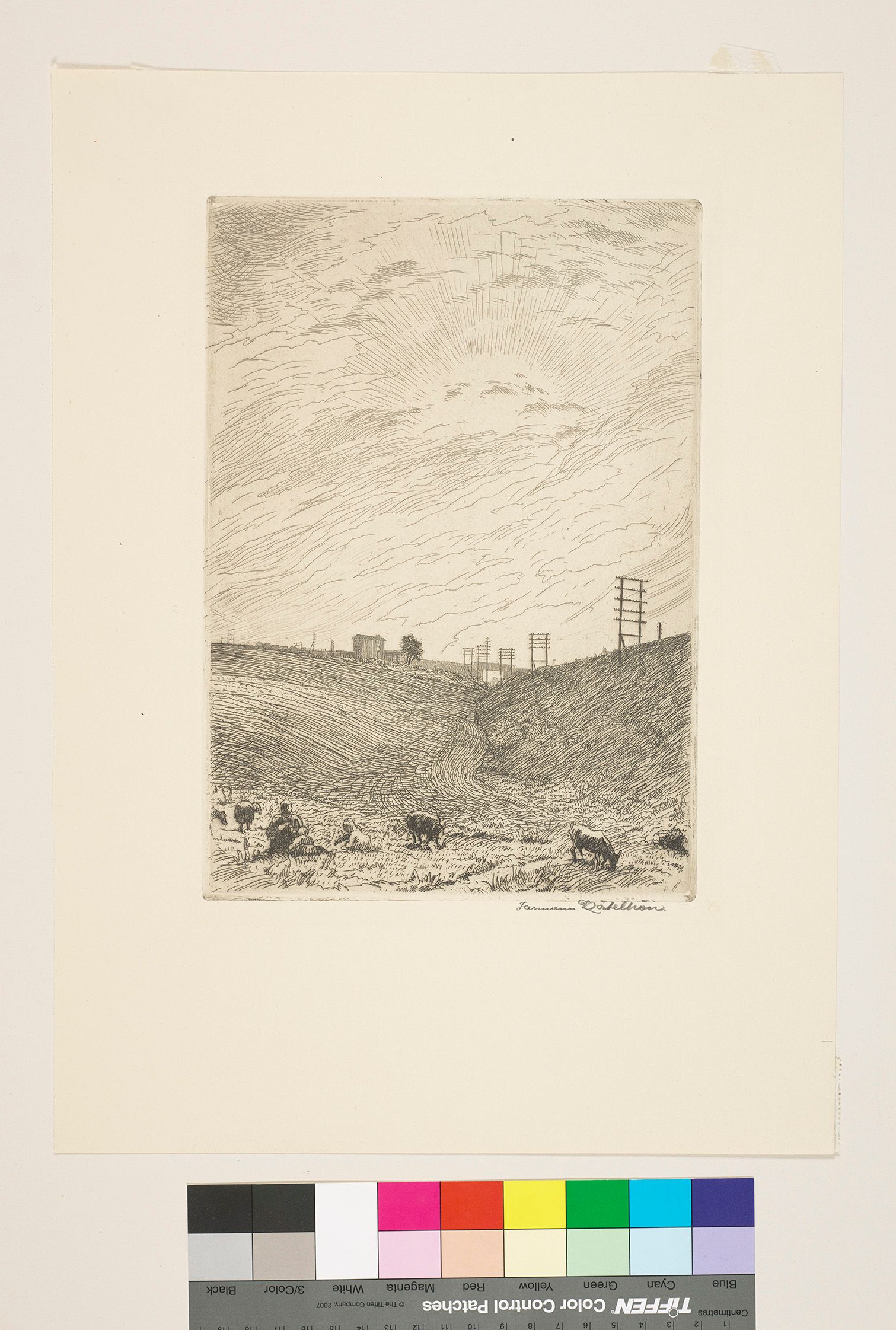 Radierung. Eine Landschaft mit Kühen.